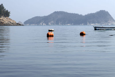 View of buoys in sea against clear sky during sunny day