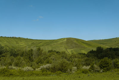 Scenic view of landscape against clear blue sky