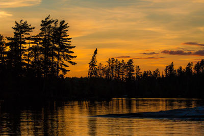 Silhouette of trees at sunset