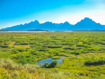 Scenic view of landscape against sky