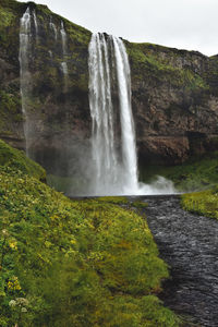 Scenic view of waterfall in forest