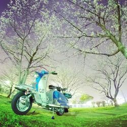 Bicycles parked on field in park