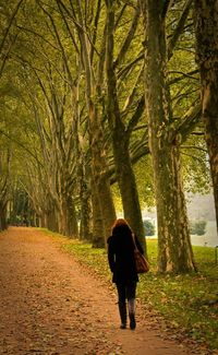 Rear view of a woman walking on tree