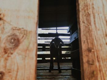 Rear view of person seen through window