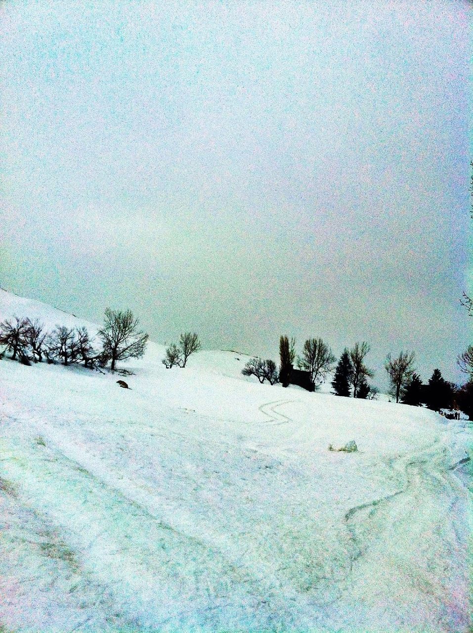 tranquility, tranquil scene, scenics, tree, beauty in nature, cold temperature, nature, winter, landscape, sky, snow, copy space, weather, field, non-urban scene, blue, bare tree, outdoors, day, no people