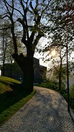 Footpath amidst trees and buildings against sky