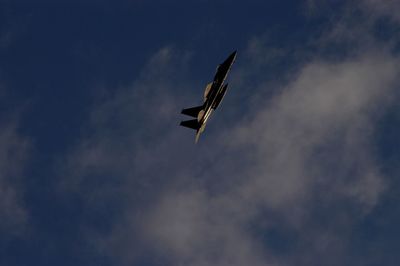 Low angle view of bird flying in sky