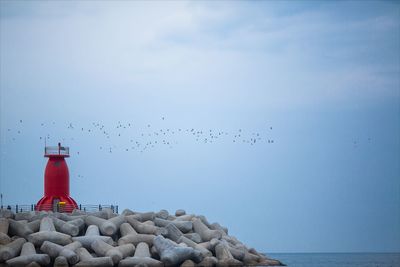 Birds flying over sea against sky