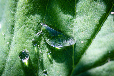 Close-up of water