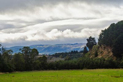 Scenic view of landscape against cloudy sky