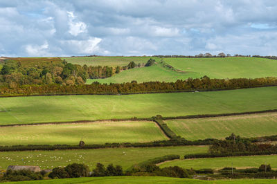 Scenic view of farm against sky