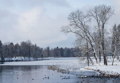 Lake in the park. winter. russia.