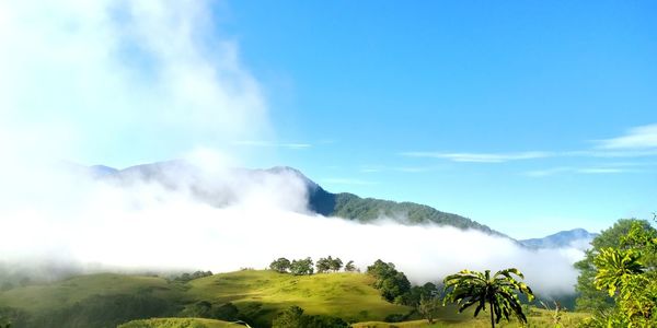 Scenic view of landscape against sky