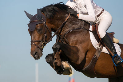 Low section of jockey jumping horse over hurdles against sky