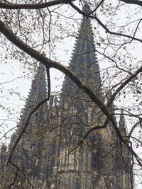 Low angle view of bare tree against sky