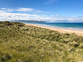 Scenic view of beach against sky