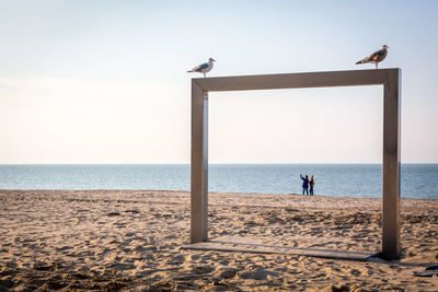 Seagulls perching on wooden structure at beach against sky