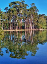 Reflection of trees in lake against sky