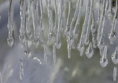 Full frame shot of icicles