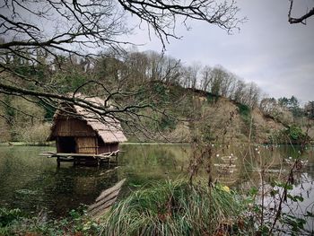 Abandoned house amidst trees and plants against sky