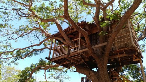Low angle view of built structure against trees