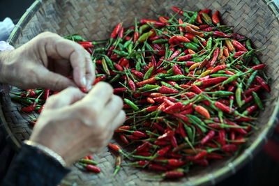 Cropped image of hands holding chili pepper