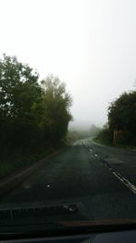 Road passing through forest