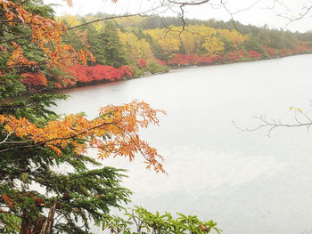 Scenic view of lake against sky during autumn