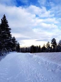 Snow covered land and trees against sky