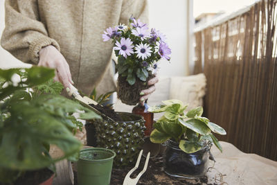 Woman planting flowers