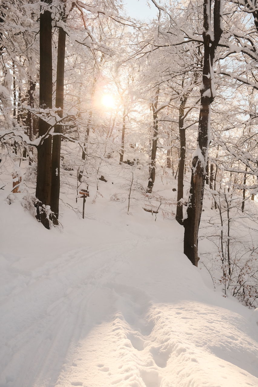 SCENIC VIEW OF SNOW COVERED LAND AGAINST SKY