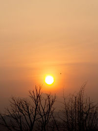 Silhouette plants against romantic sky at sunset