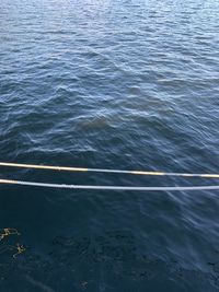 High angle view of rippled water