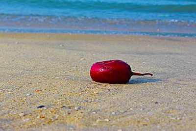 Close-up of red cherries on beach