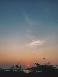 Silhouette trees against sky during sunset
