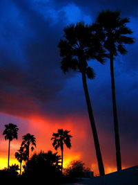 Low angle view of silhouette palm trees against sky at sunset