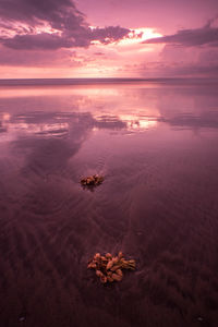 Scenic view of shore against romantic sky