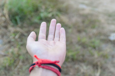 Close-up of hand gesturing over field