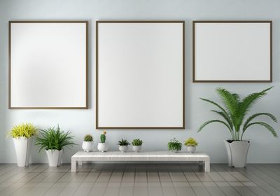 Potted plant against white wall at home