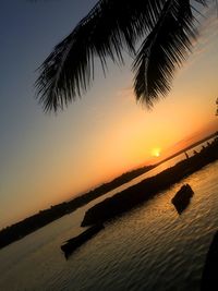 Silhouette palm tree by sea against sky at sunset