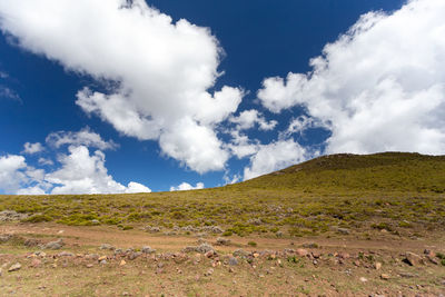 Scenic view of landscape against sky