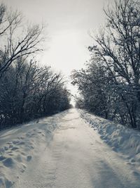 Road amidst trees against sky during winter