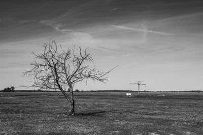 Bare tree on field against sky