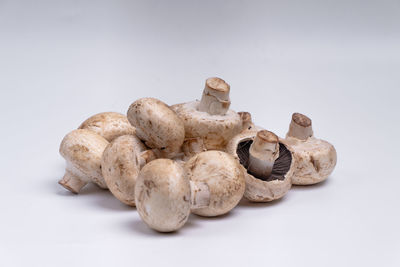 Close-up of mushrooms against white background