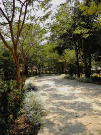 Scenic view of flower trees