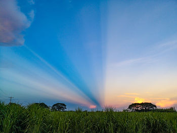 Scenic view of field against sky during sunset