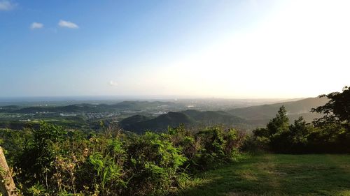 Scenic view of landscape against sky