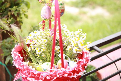 Close-up of pink flower pot