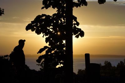 Silhouette man by tree against orange sky