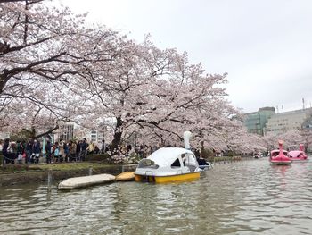 People enjoying in river